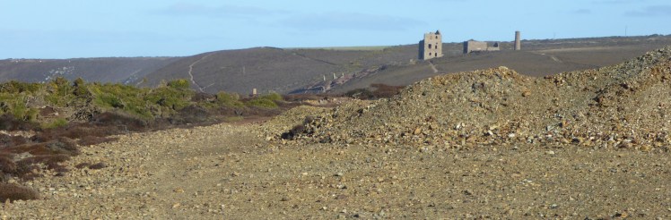 004_155_WhealCharlotte