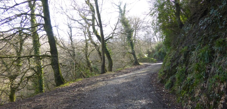 b_013_110_Clovelly_Hobby_Drive