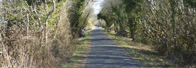 b_014_146_Instow_Tarka_Trail