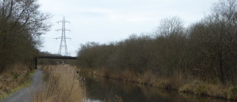 b_031_097_JerseyMarine_TennantCanal