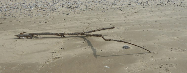b_033_075_Rhossili_Bay_Beach_Driftwood