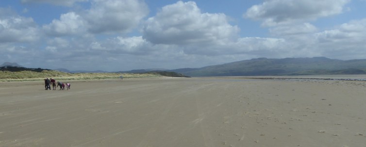 b_062_184_Black_Rock_Sands