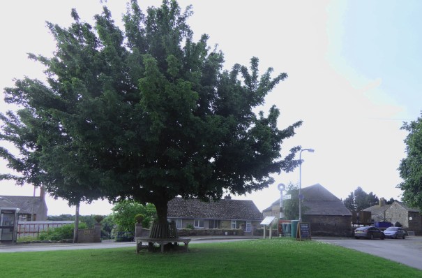 b_094_116_Beaumont_Village