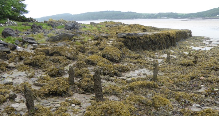 b_100_158_Kirkcudbright_StMarysIsle