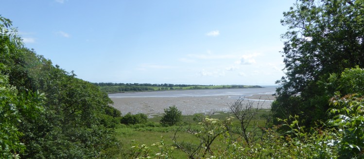 b_101_200_Sandgreen_WoodedView