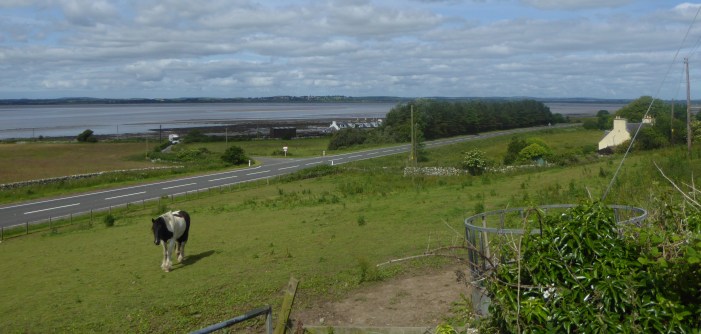 b_102_209_Kirkbride_RiverCree_Estuary