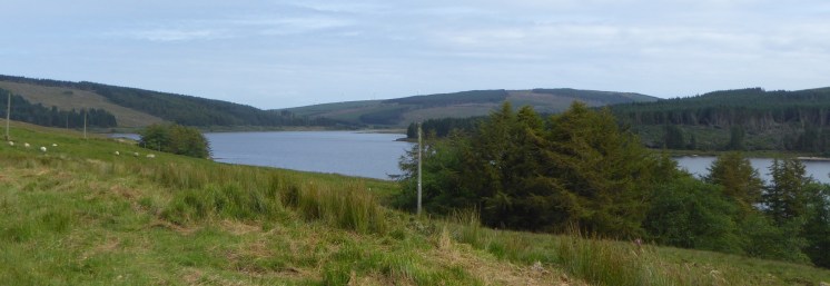 b_119_051_LussaLoch_Forest