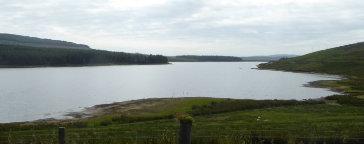 b_119_052_LussaLoch_Forest