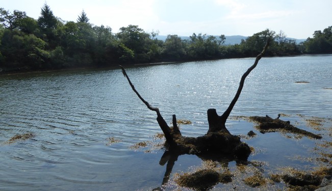 b_125_160_FaeryIsles_LochCoille-Barr