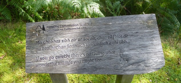 b_138_194_Ardery_ForestPath