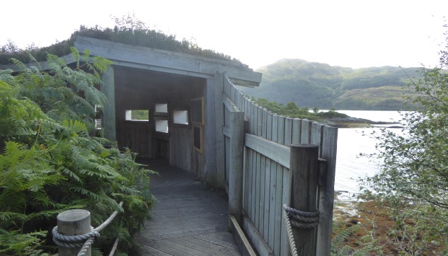 b_138_197_Ardery_ForestHive