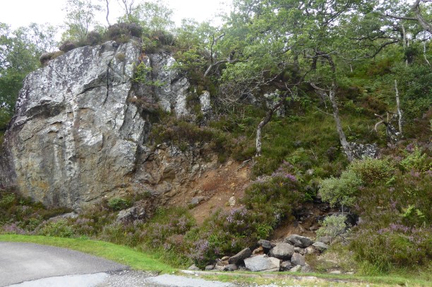 b_139_011_Glenborrodale_NatureReserve