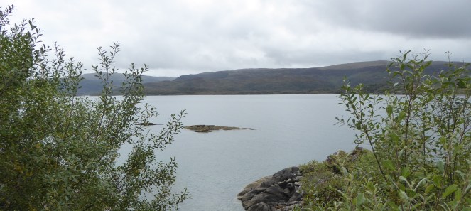 b_139_012_Glenborrodale_LochSunart