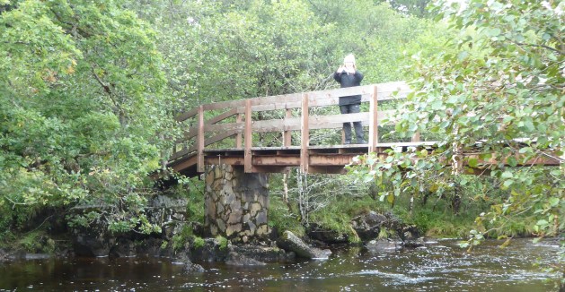 b_143_106_Strontian_Ariundle_Suzanne