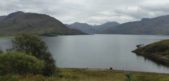 b_150_031_Arnisdale_CoastalView