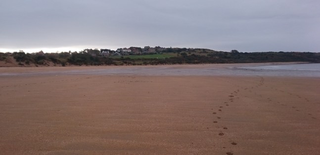 b_252_0021_Gullane_Footsteps