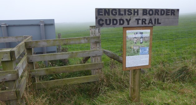 b_255_137_MarshallMeadows_BorderCrossing