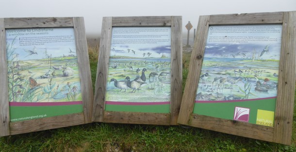 b_256_146_Beal_DisplayBoards