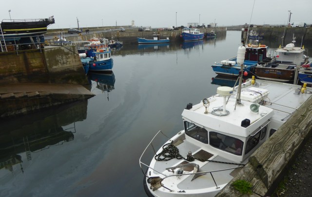 b_257_158_Seahouses_Harbour