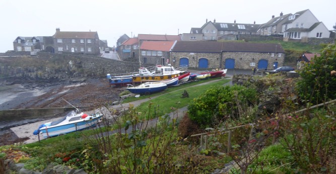 b_258_168_Craster_Harbour